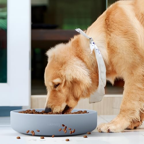 Extra Large Slow Feeder Bowl (Blue / XL)