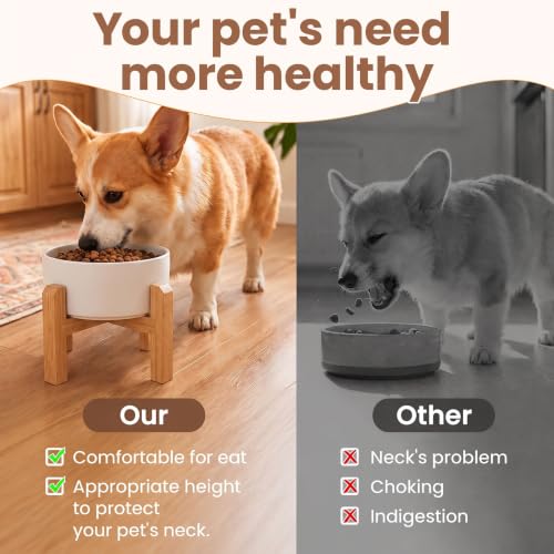 Elevated Ceramic Dog Bowl with Bamboo Stand (White / 3.6Cup)
