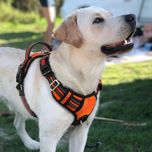 Dog Harness for Large (Orange / Large)