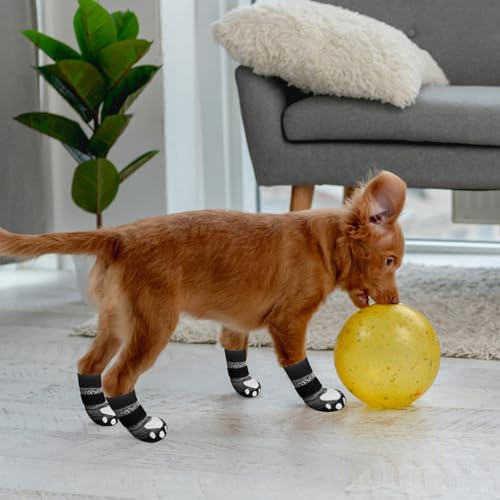 6PCS Anti Slip Dog Socks to Prevent Licking Paws (XX-small (6 Count) / Grey)