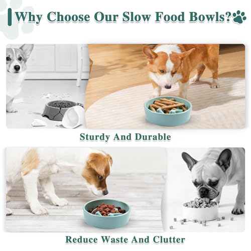 Ceramic Slow Feeder Dog Bowls (Light Green-M)