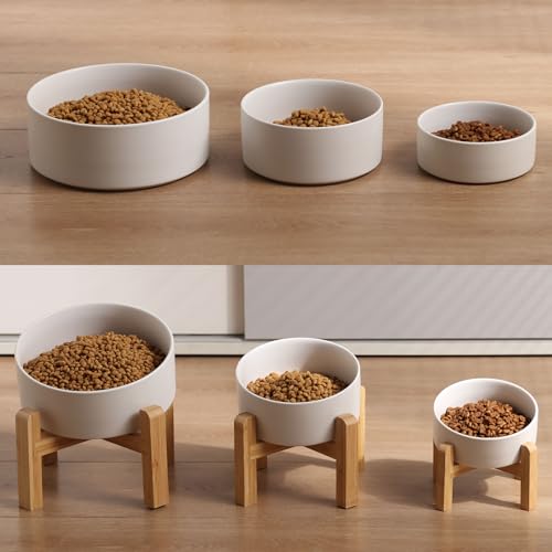 White Elevated (White / 7.6 CUPS - Medium Large Dog Bowls)