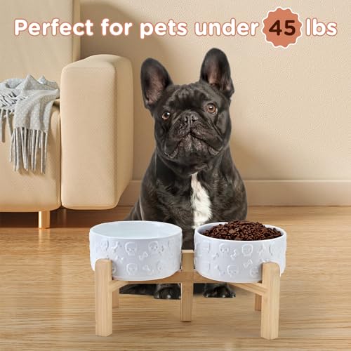 Elevated Dog Bowls Ceramic (6.1 in - 3.6 cups / White - Skull)