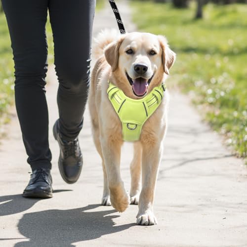 Dog Harness for Medium Sized Dog No Pull Dog Vest ID Tag Pocket (Sunlight / Medium)