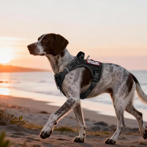 Tactical Dog Harness Medium Sized (M(chest:20.1"-33.9",neck:17.7"-22.3",back:7.5") / Black)