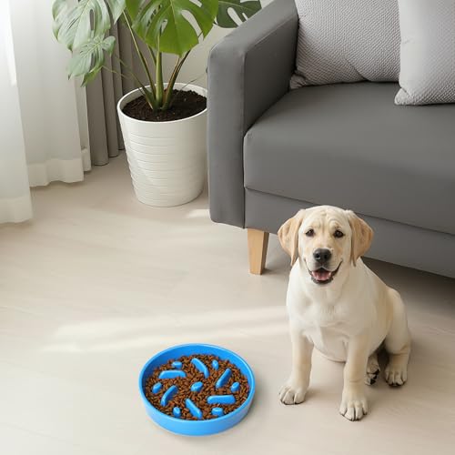 Ceramic Slow Feeder Dog Bowl (Maze - Blue / 2 Cups)