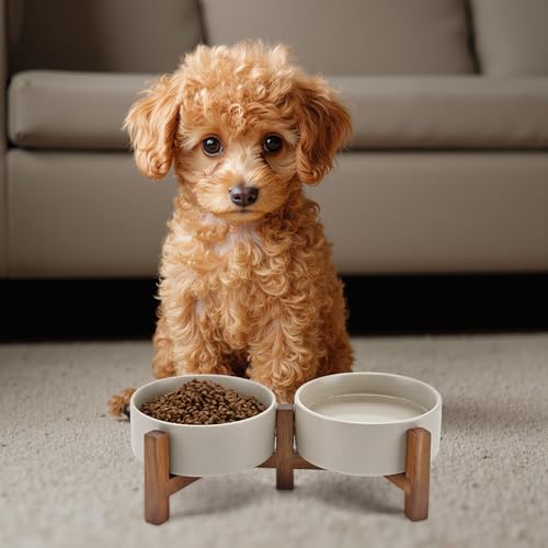 Ceramic Dog Bowls Set with Acacia Wood Stand (13.52 Oz / Gray)