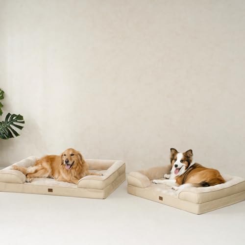 Orthopedic Dog Bed Medium Size Dog (Graige / 30.0"l X 20.0"w X 6.5"th)
