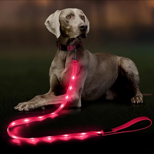 Light Up Dog Leash (Pink)