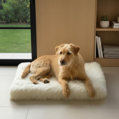 Faux Fur Orthopedic Rectangular Dog Bed (White / Medium)
