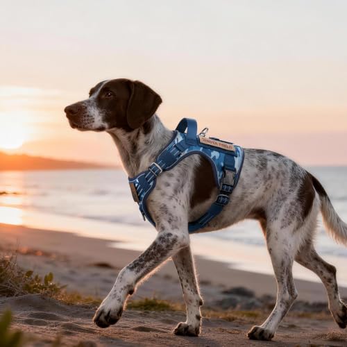 Tactical Dog Harness Medium Sized (M(chest:20.1"-33.9",neck:17.7"-22.3",back:7.5") / Blue Camo)