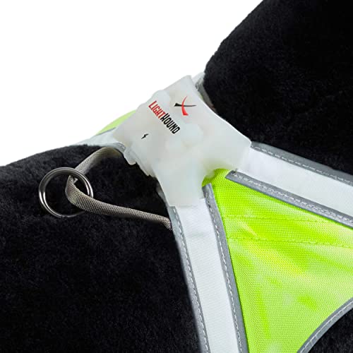 LightHound Light Up Reflective Dog Harness (Large)
