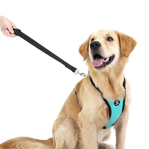Dog Seat Belt Vest Harness for Car (Blue / L (Chest: 22-32.3", Neck: 16.9-26"))