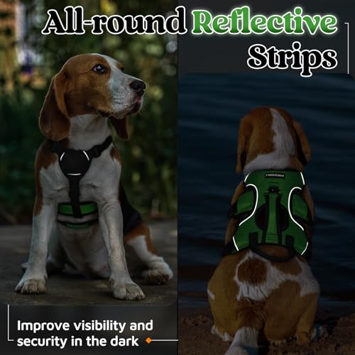 Escape Proof Dog Harness for Small (Green / Small)