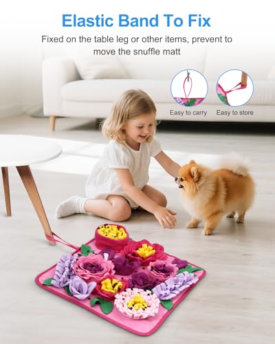 Snuffle Mat for Dogs