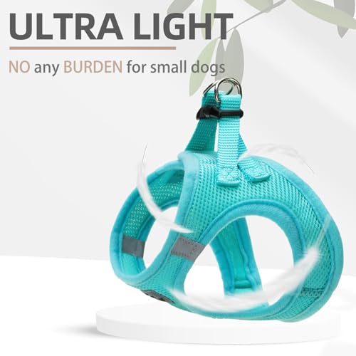 Dog Harness Collar and Leash Set No Pull for Small Medium Sized (Turquoise / L (CHEST 18"-20"))