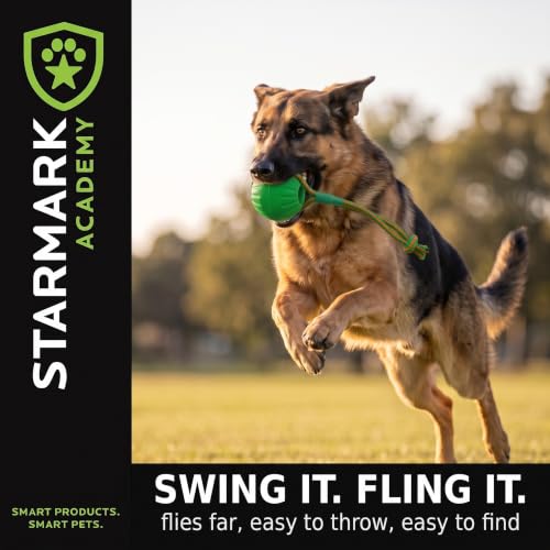 Everlasting Fun Ball on a Rope Dog Toy