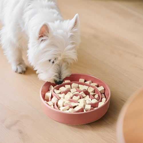 Ceramic Slow Feeder Dog Bowl (Pink / Small without Stand)