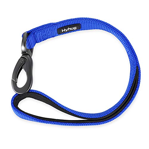 Short Dog Leash 18" (Bright Blue / 18 Inches)