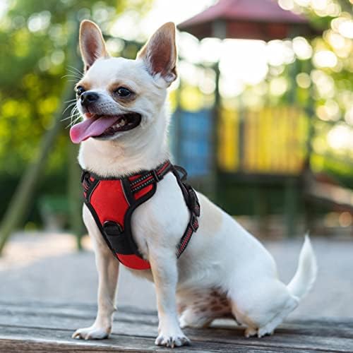 Dog Harness No Pull for Small Dogs with 2 Leash Clips (X-Small / Red)
