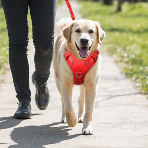 No Pull Dog Harness Large Reflective Dog Harness with Front Clip and Easy Control Handle for Walking Training Running with ID tag Pocket (Red / Large)