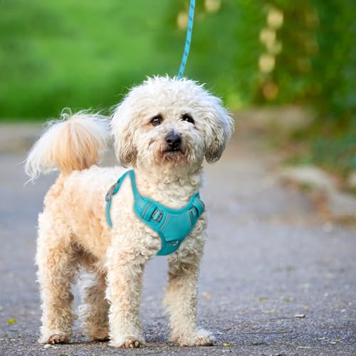 Dog Harness for Small Sized Dog No Pull Dog Vest ID Tag Pocket (Ocean Blue / Small)