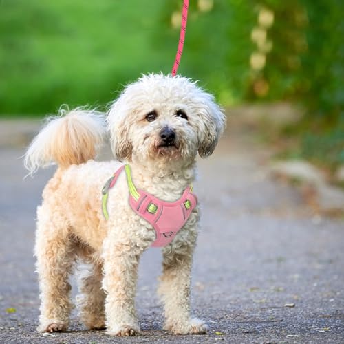 Dog Harness for Small Sized Dog No Pull Dog Vest ID Tag Pocket (Baby Pink & Sunlight / X-Small)