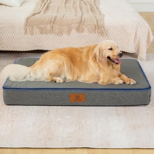 Orthopedic Memory Foam XXL Dog Bed (48.0"L x 30.0"W x 6.0"Th / Dark Grey)