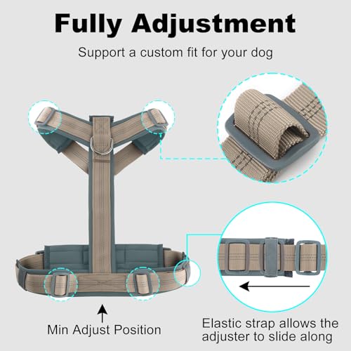 No Pull Dog Harness (XS / Beige)