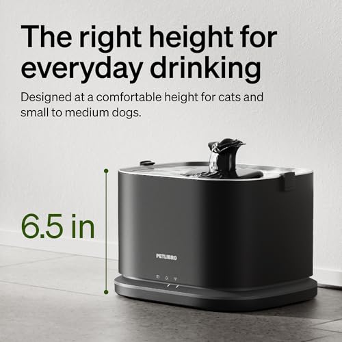 Upgrade Cat Water Fountain Stainless Steel Tray (Black / Fountain)