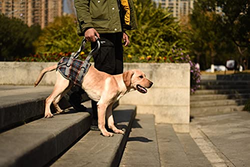 Dog Lift Harness (Small / Hind Legs-Blue)