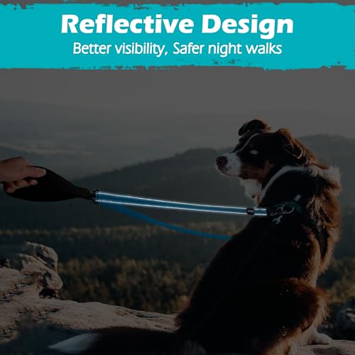 Two Point Control Dog Leash (Light Blue)