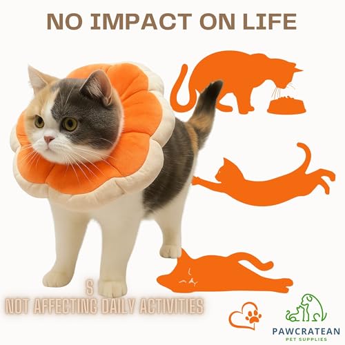 Adjustable Comfy Flower Style Elizabeth Collar for Cats Puppies Soft Recovery Cone Pet Protective Neck Collar (Orange / Medium)