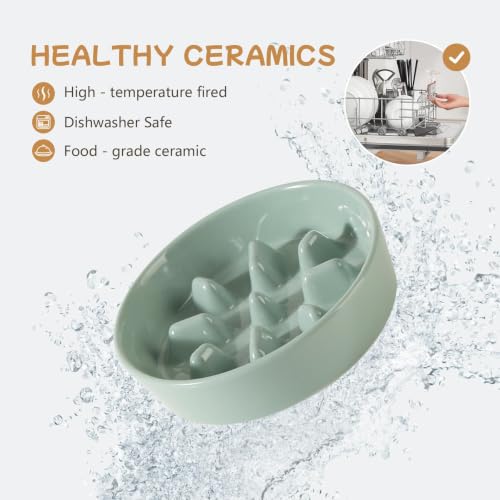 Elevated Slow Feeder Dog Bowls (Light Green)