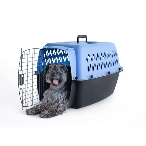 Pet Porter Fashion Dog Kennel (26.0"L x 18.6"W x 16.5"H / Blue)