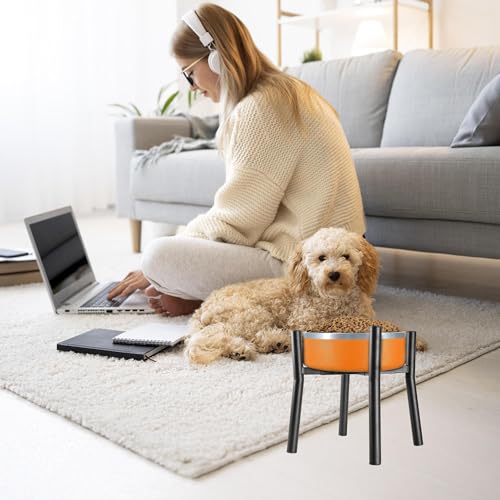 Lifted Dog Bowl Stand (Large-HIGH-12IN)