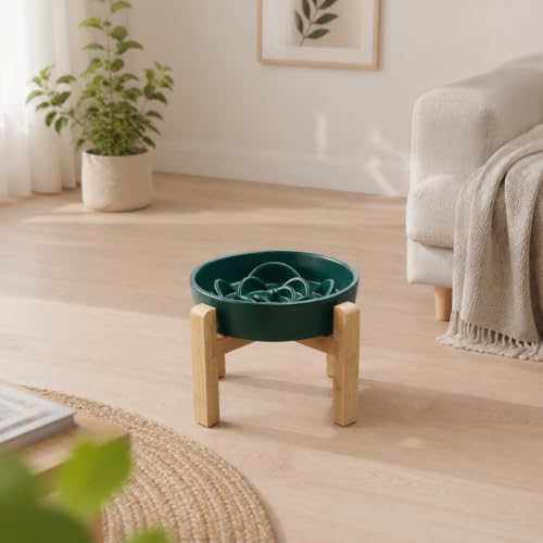 8.66 in Dog Bowl Ceramic Slow Feeder for Medium Large Dogs (Green / 8.66in)