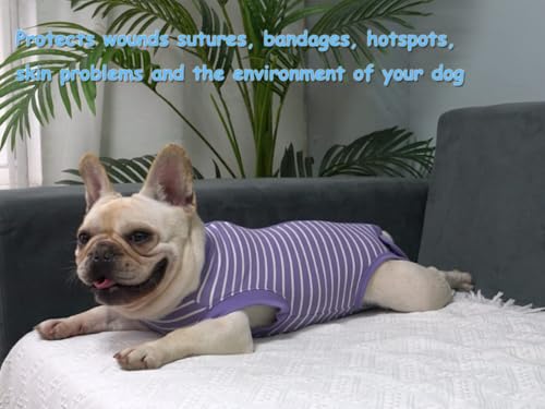 Dog Surgery Recovery Suit (XL(Back18- 20" Chest 23- 25" Weight 37- 57 lb) / Purplewhite)