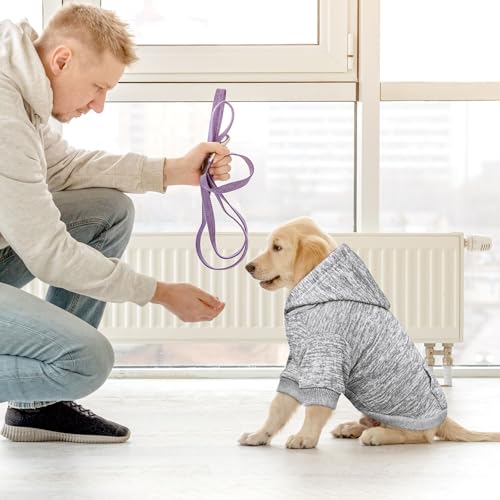 Dog Sweaters for Small Dogs Dog Hoodie Fleece Pet Sweater Soft Clothes Sweatshirt with Pocket Pet Hoodie for Small Dogs Puppy Sweater (X-Small / Grey)