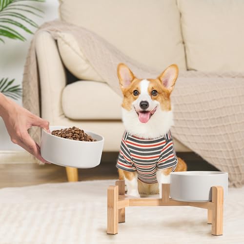Elevated Ceramic Dog Bowl (Light Gray / Medium)