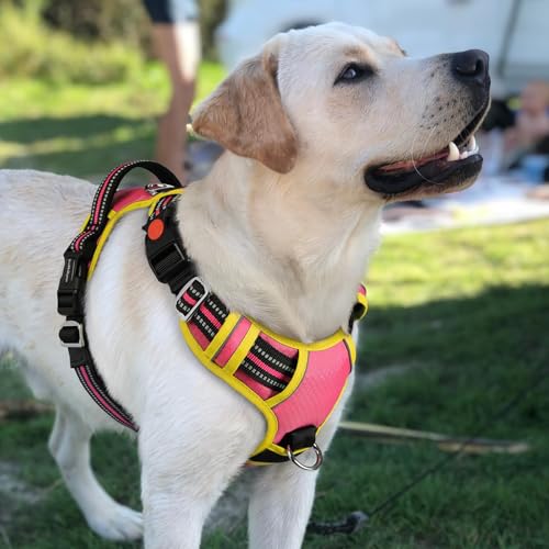 Dog Harness for Large (Pink & Yellow / Large)
