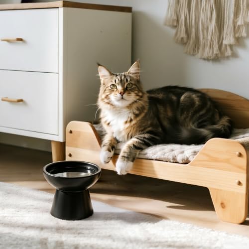 2 Pack Elevated Ceramic Cat Bowls Extra Wide for Food & Water (Black)