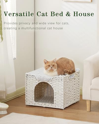 Cat Beds Indoor Kitten House (White / Rectangle-M)