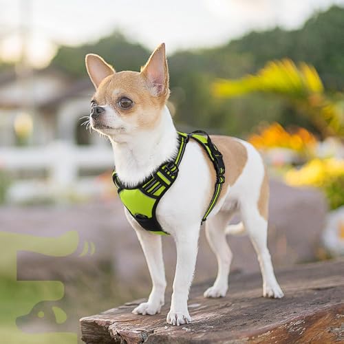 Dog Harness for Small Dogs (X-Small / Green)