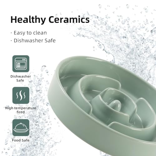 Ceramic Slow Feeder Dog Bowls (Light Green)