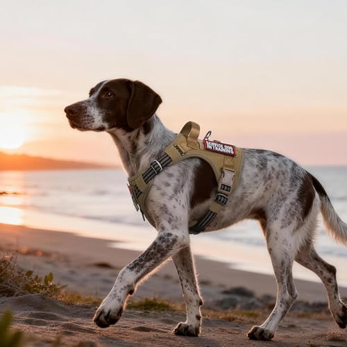 Tactical Dog Harness Medium Sized (M(chest:20.1"-33.9",neck:17.7"-22.3",back:7.5") / Brown)
