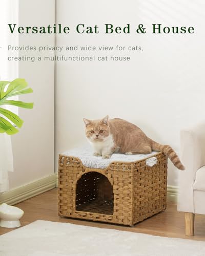 Cat Beds Indoor Kitten House (Natural / Rectangle-M)