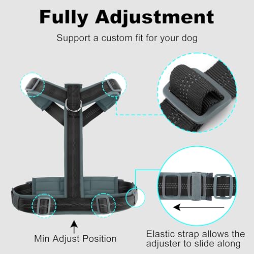 No Pull Dog Harness (XS / Black)