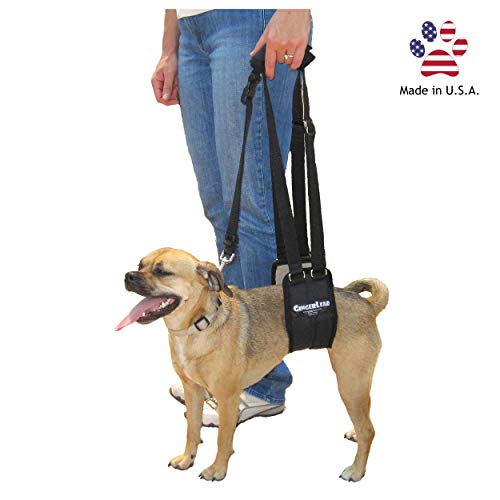 Dog Rear Sling Support Harness (Small - Female)