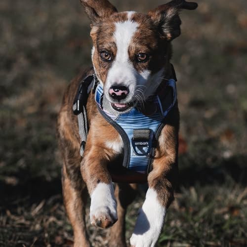 Embark No Pull Dog Harness (M / Santa Monica)